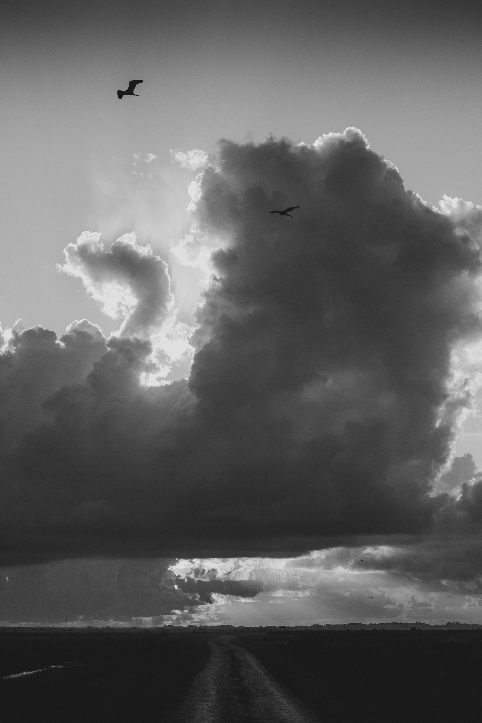Sunrise clouds - Black and white version