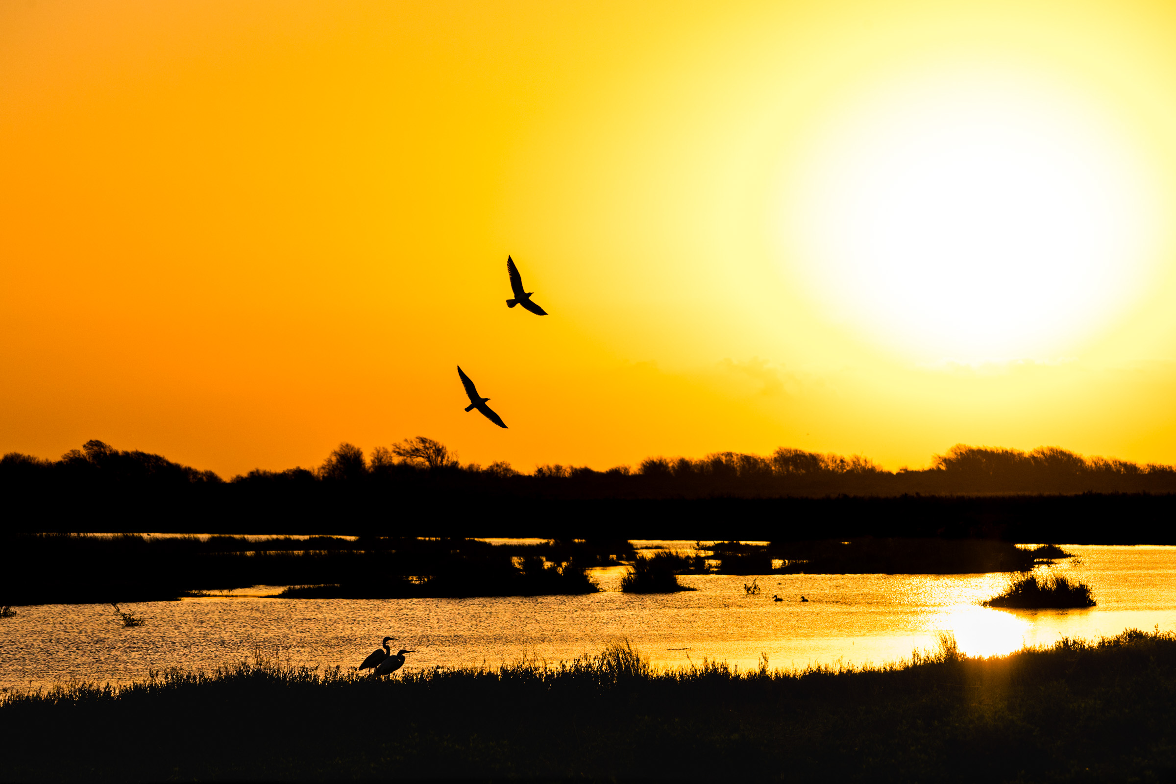 Golden sunrise over beautiful southeast Texas marshland