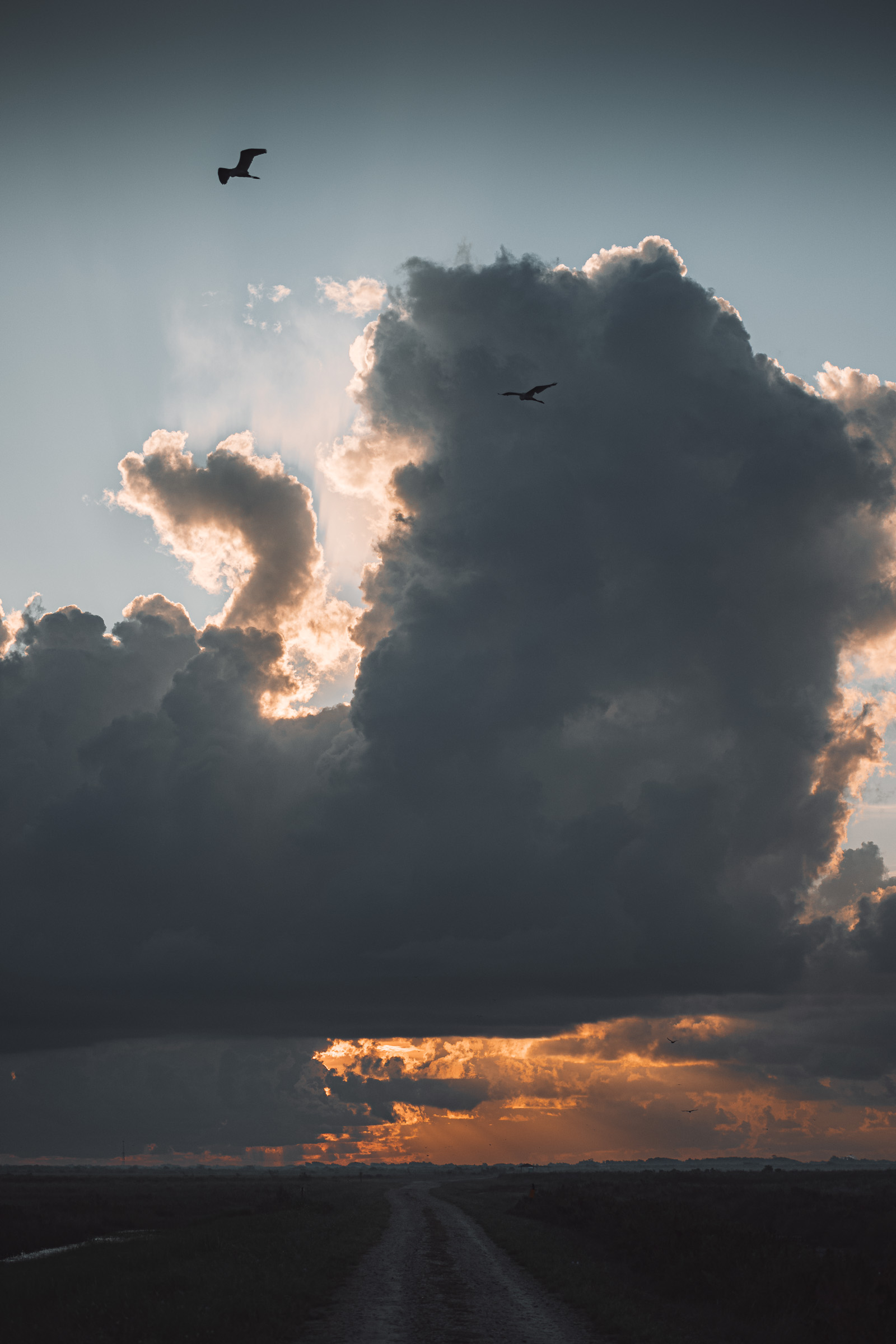 Sunrise clouds - muted color version