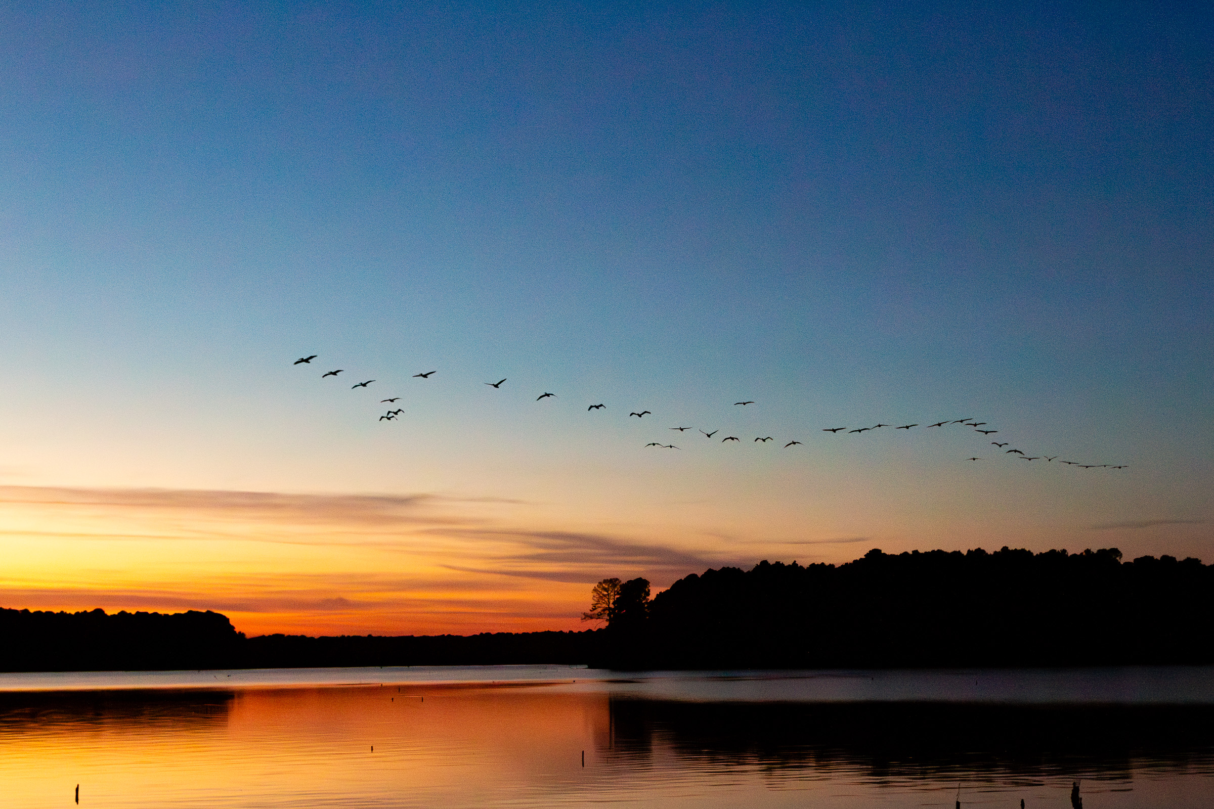 Sunrise birds over lake - final image