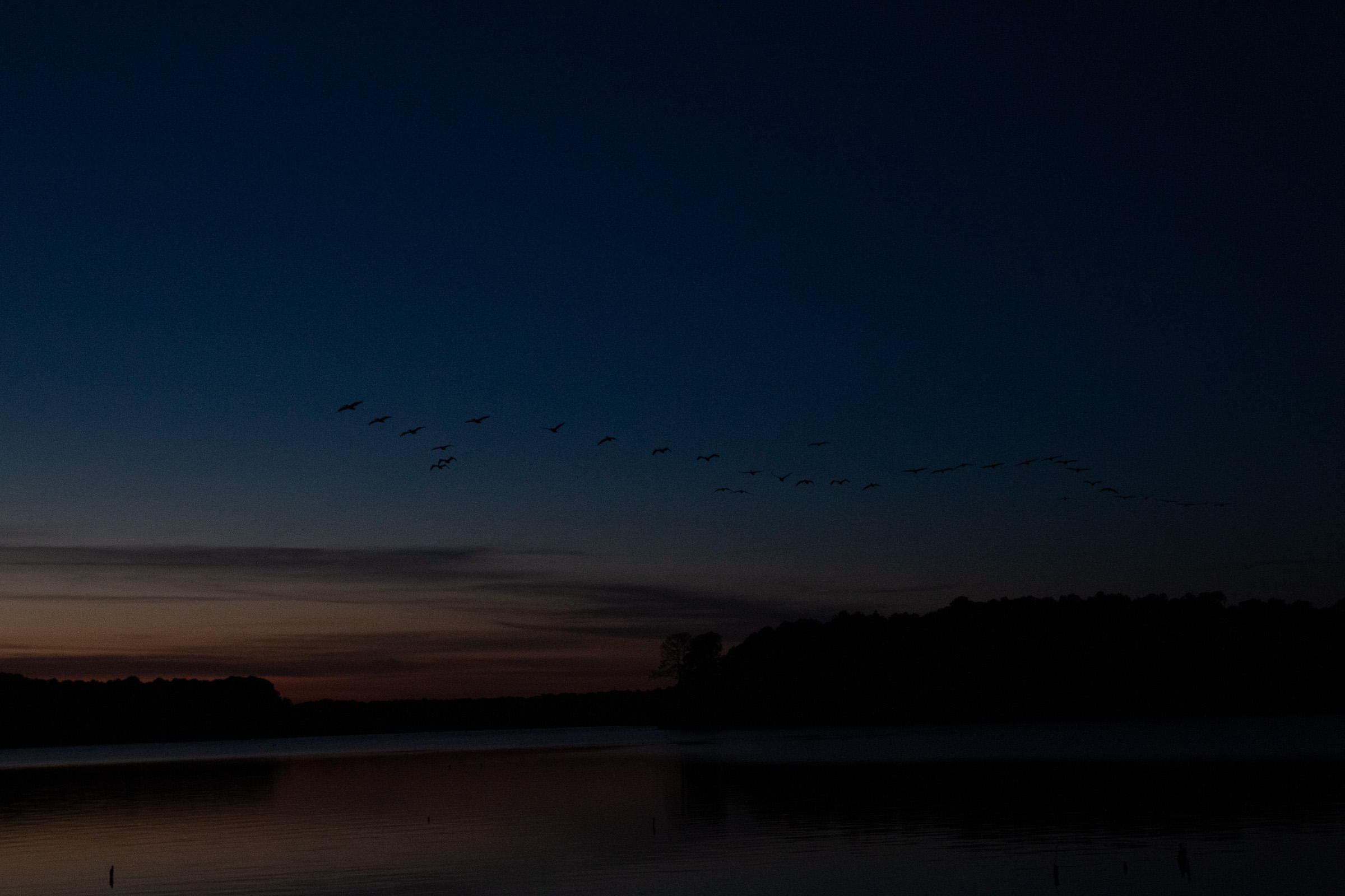 Sunrise birds over lake - raw image