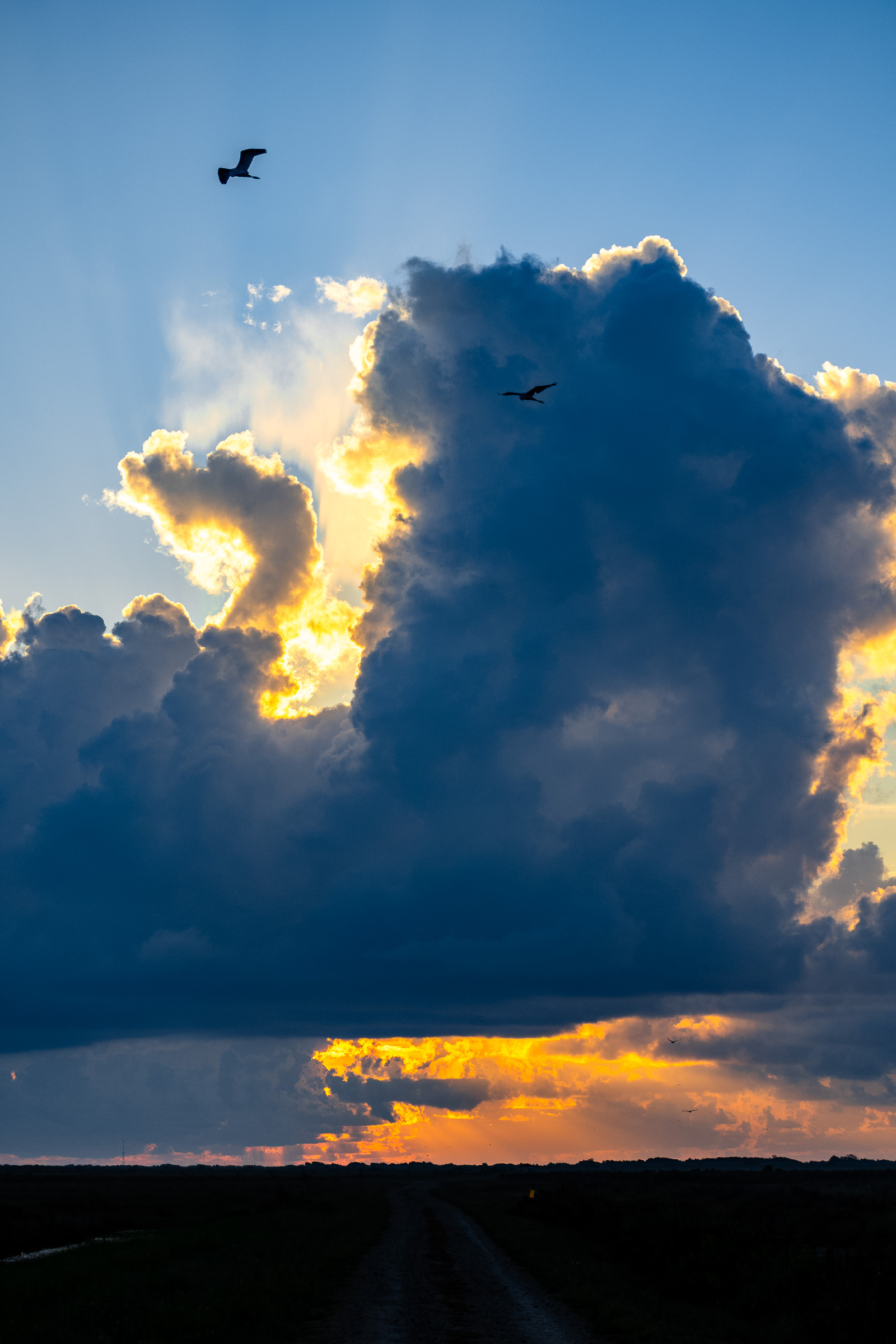 Sunrise clouds - vivid version